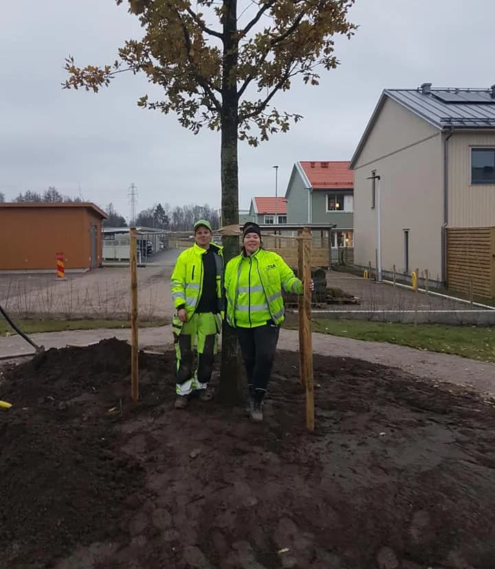 Om TGA Trädgård & Anläggning